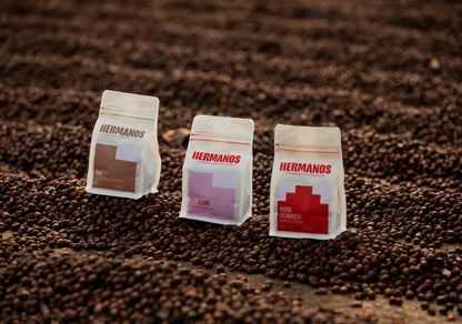 Speciality Coffee Subscription