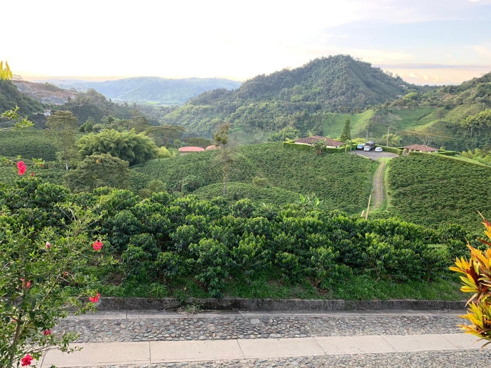 A beautiful Colombian landscape where Colombian coffee beans are grown