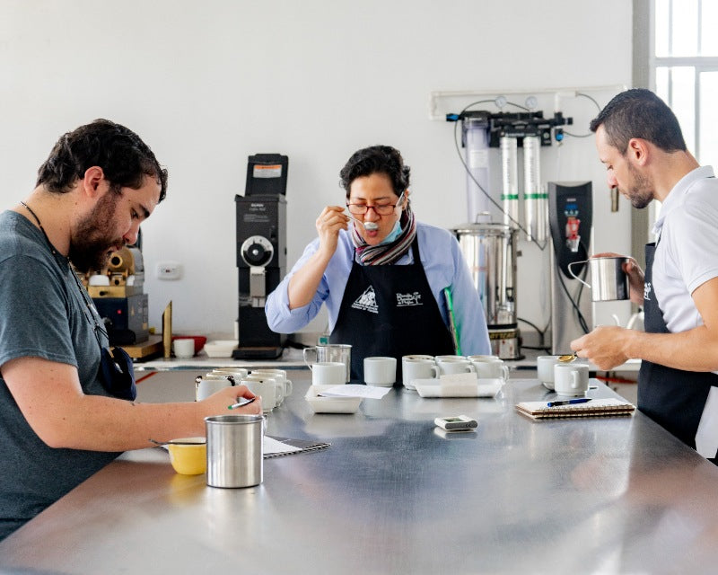 Centralised testing and cupping station of Colombian coffee cooperative