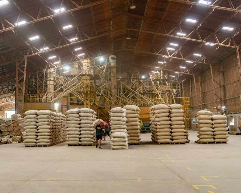Coffee beans waiting to be shipped coffee traceability journey