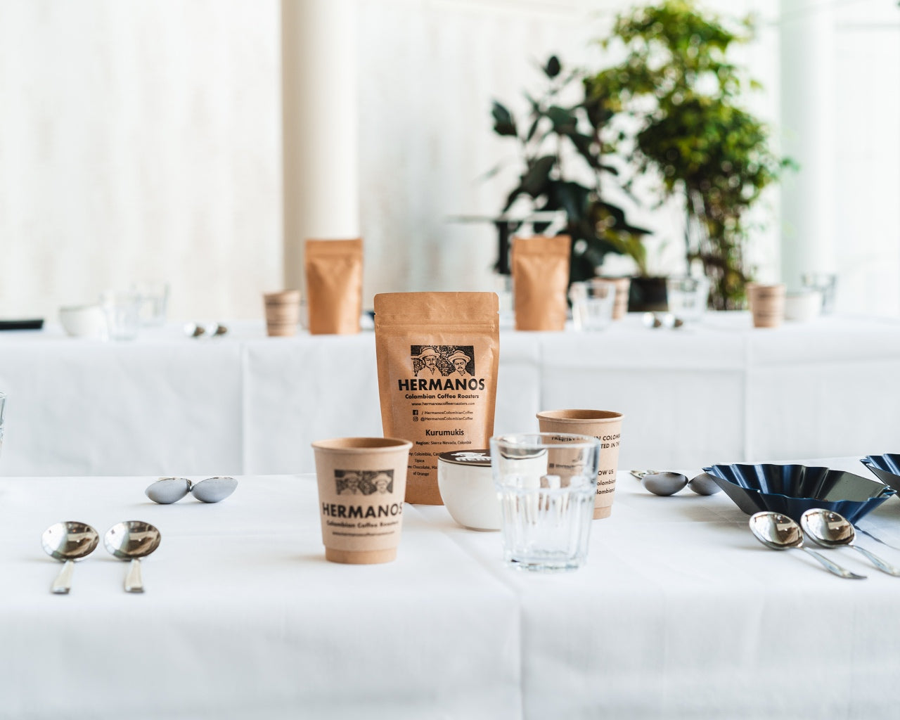 Coffee cupping station for corporate coffee tasting experience with Hermanos — coffee tasting guides