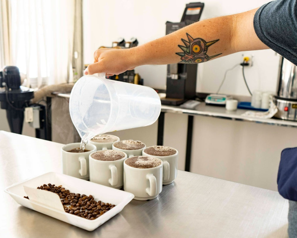 SCA coffee exporter cupping specialty coffee at coffee lab