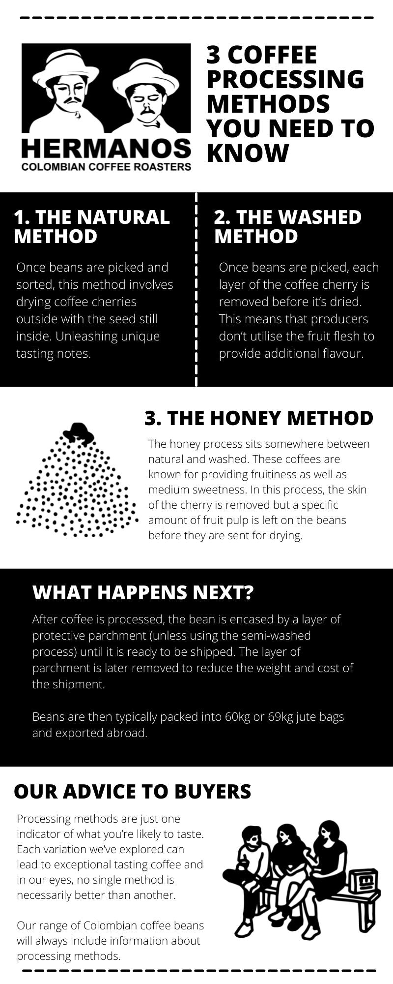 Coffee Processing Methods Infographic
