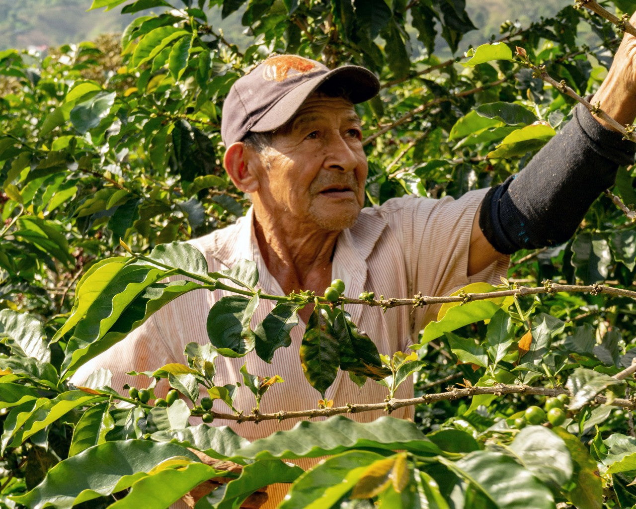 Coffee Subscription Price Update