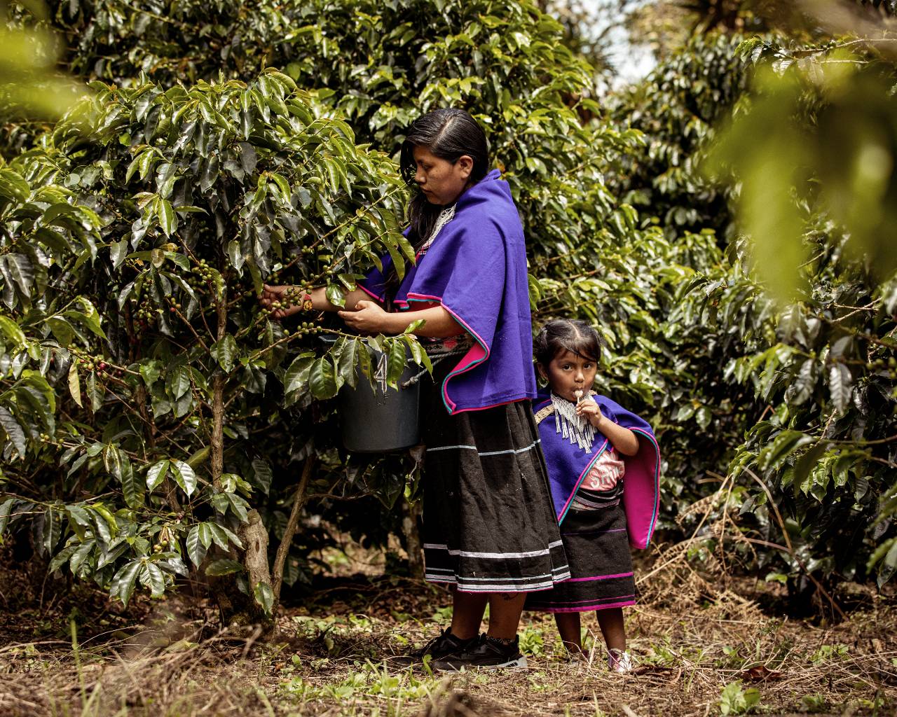 Colombian woman and daughter symbolising potential victims of climate change