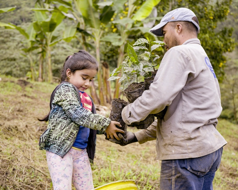 Father and daughter coffee growers of Colombian coffee cooperative