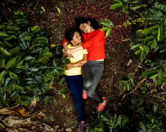 Gender equality in the Colombian coffee industry hero image