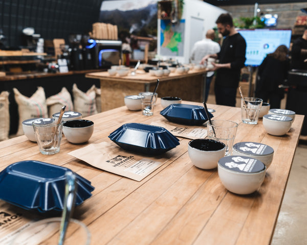 The Hermanos coffee cupping set-up during coffee tasting experience