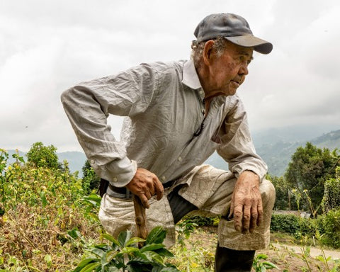 Hermanos Colombian coffee farmer in Villa Maria
