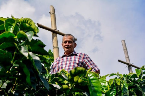Hermanos Colombian coffee farmer in Villa Maria 3