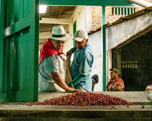 What is a Colombian Coffee Cooperative & What's Their Impact?