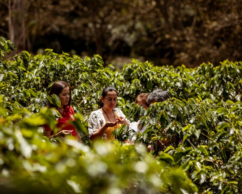 Key facts about gender equality in Colombia