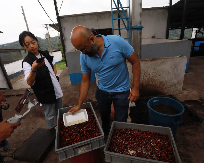 Koji coffee fermentation method