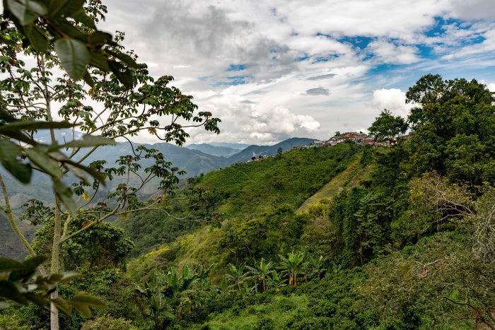 Landscape photo of the Colombian Coffee Triangle