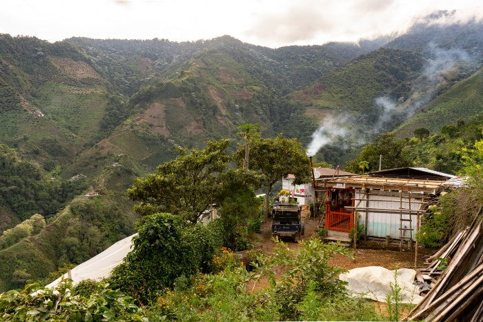 Landscape photograph of local farm producing Colombian coffee beans for Hermanos
