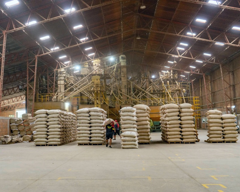 Large warehouse storing coffee sacks of Colombian coffee cooperative