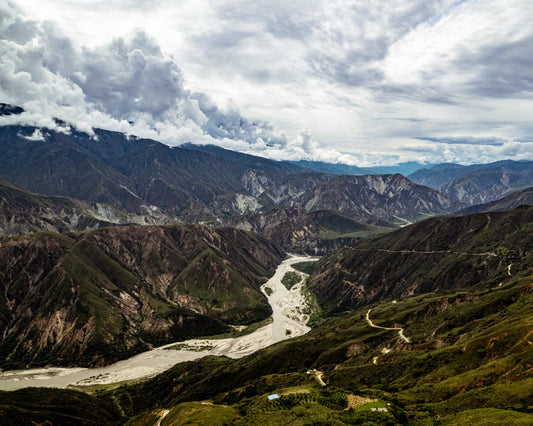 How Does Climate Change Affect Coffee Production?