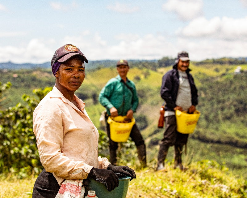 Patterns of gender discrimination in Colombia