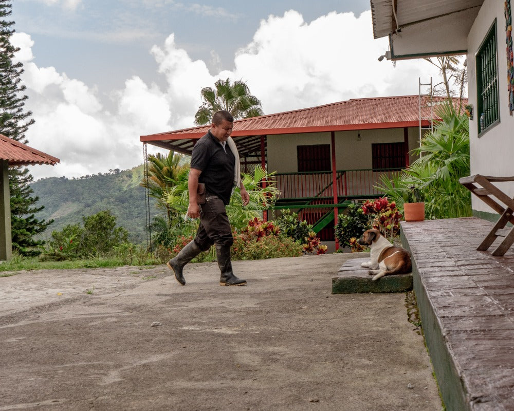 A peaceful scene at Finca El Vergel in Tolima, Colombia