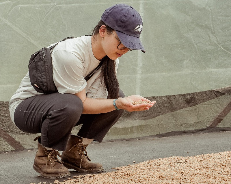 Potential Challenges To The Natural Coffee Processing Method