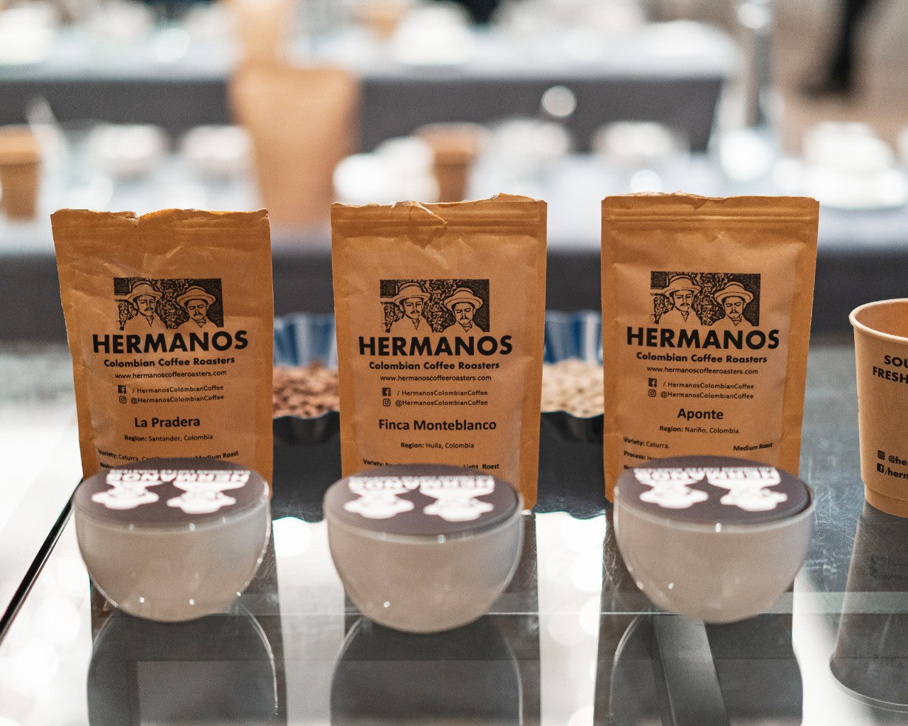 Selection of premium Colombian specialty coffee beans at coffee tasting event