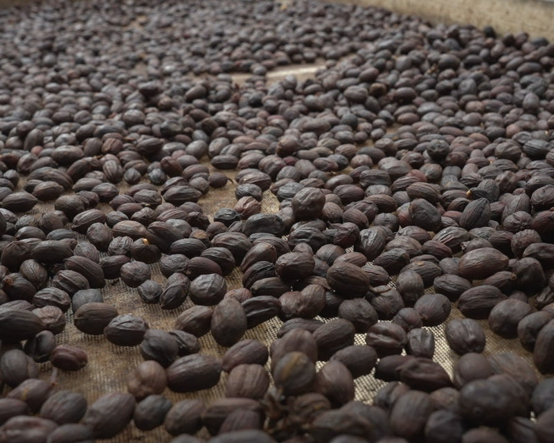 The characteristics of chocolatey coffee