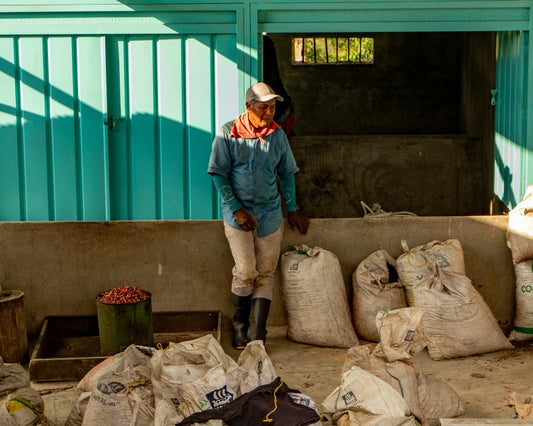 The Cost of Coffee - Why Are Coffee Prices Rising?