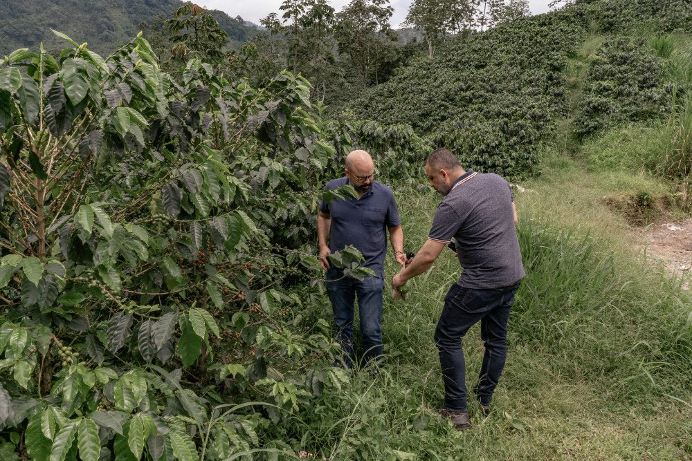 Victor and Santiago exploring the specialty coffee fields of Finca El Vergel