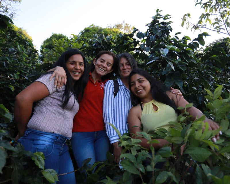 Women’s Association of Coffee Growers Popayan Cauca Colombia