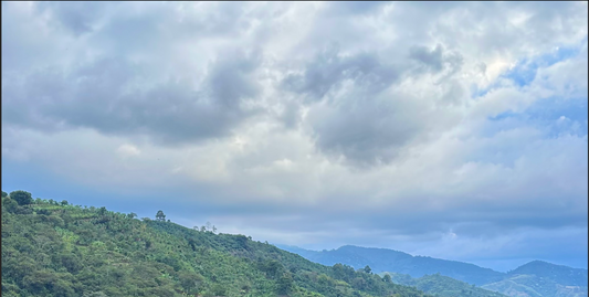 Stories from Colombia